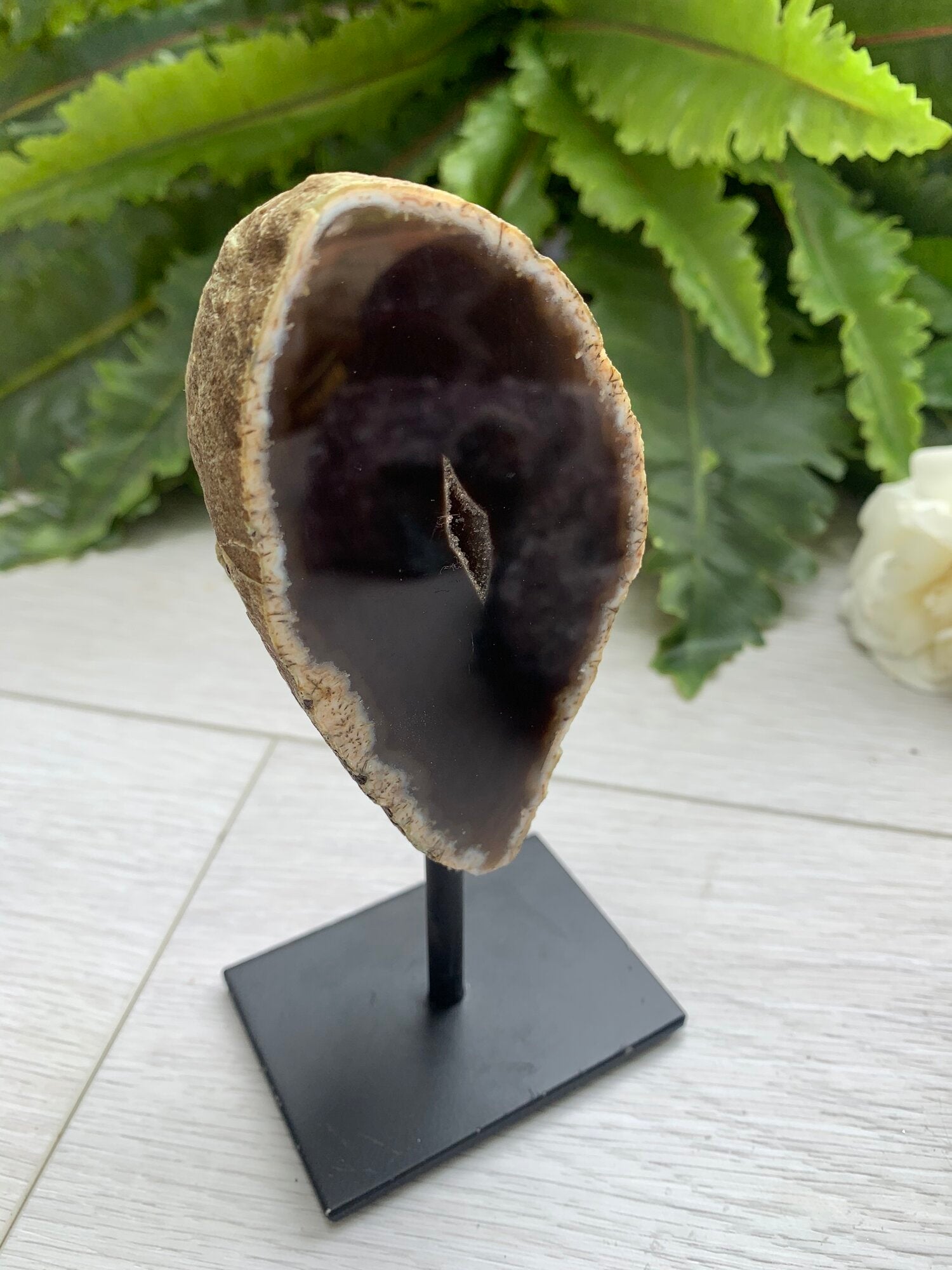 Beautiful Neutral Brown/Tan Polished Geode Crystal On Stand