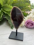 Load image into Gallery viewer, Beautiful Neutral Brown/Tan Polished Geode Crystal On Stand
