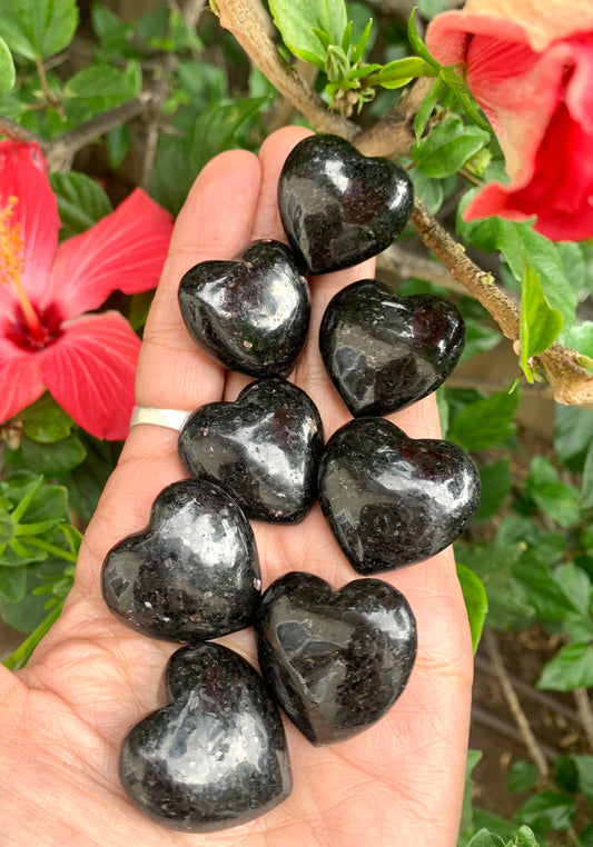 Black Tourmaline Polished Hearts