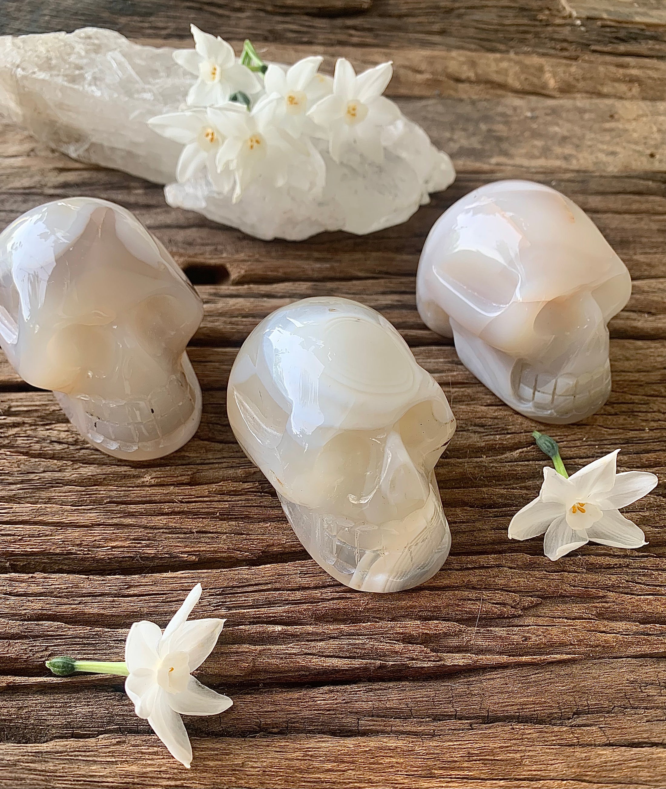 White Lace Agate Crystal Skulls