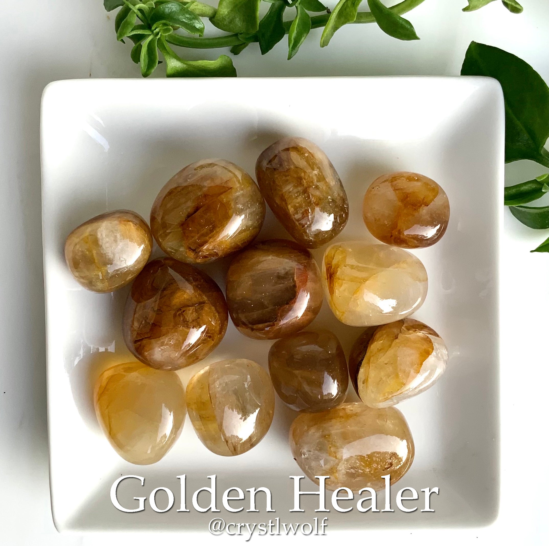 Golden Healer Tumble